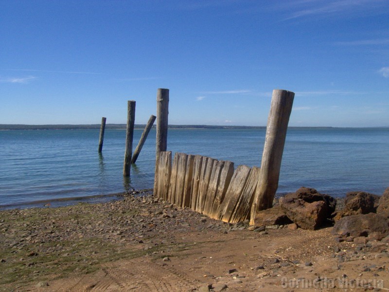 Chop Sticks !  Corinella Ferry Barge Landing  Historic Sea Wall Pylons 