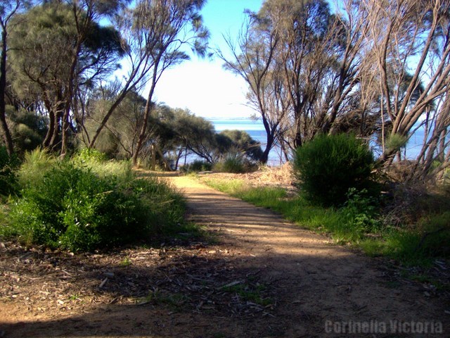 Walking Tracks Corinella Vic