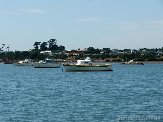 Fishing Boats On The Moorings At Corinella