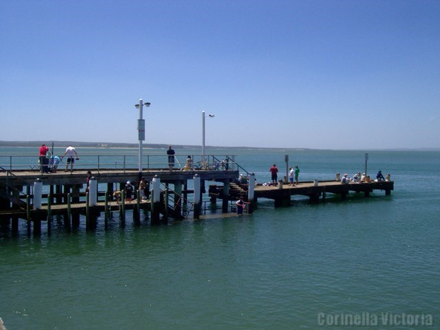 Corinella Jetty Fishing