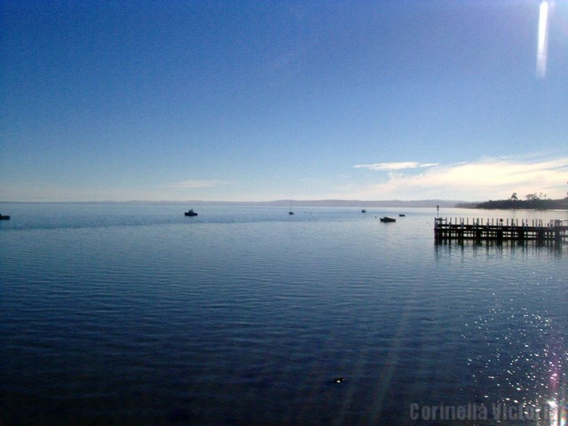 Looking Toward The Moorings From The Jetty At Corinella