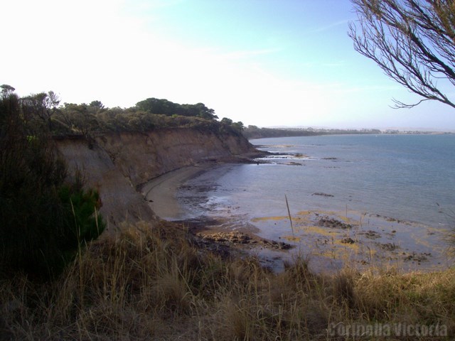 Views From Seaside Walking Track Trails Corinella Vic