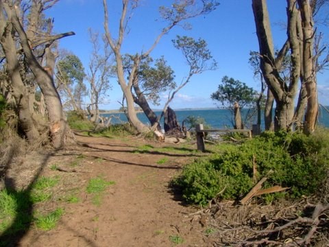 Beach Track Corinella