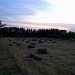 Hay baling Corinella Vic